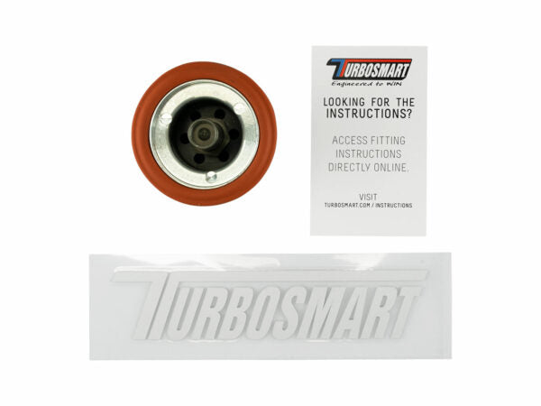Replacement Piston Suit RacePort PlumBack Valves