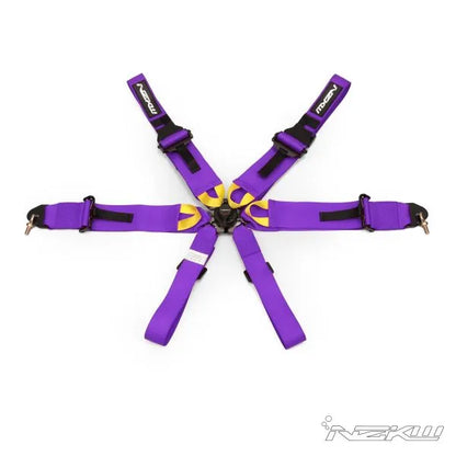 6 POINT RACE HARNESS FIA HOMOLOGATED Hans compatible