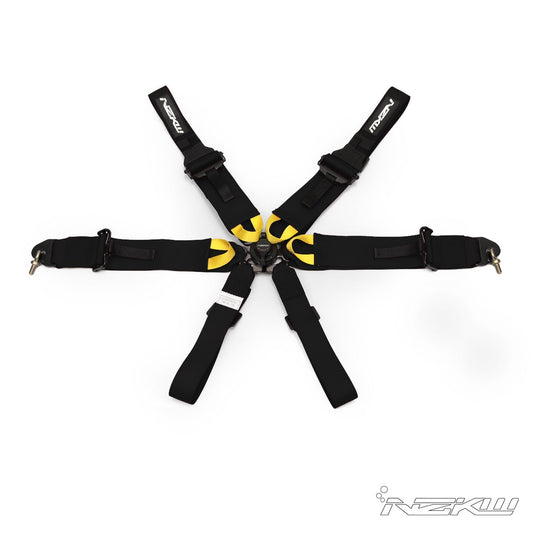 6 POINT RACE HARNESS FIA HOMOLOGATED Hans compatible