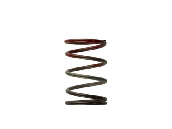 Gen4 IWG / WG38 / 40 / 45 / 50L 3PSI INNER SPRING